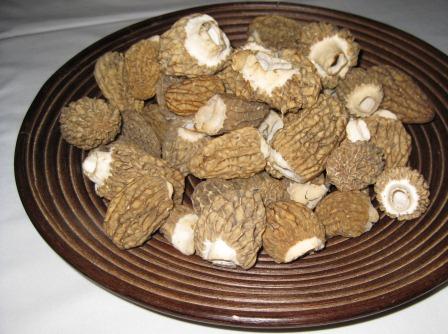 morels